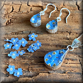 Sterling Silver Stud Earrings with Real Forget-Me-Not Flowers
